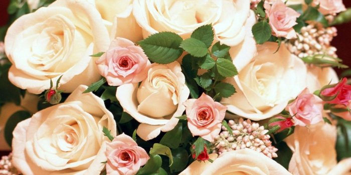 1152x864 Bunch of Roses Wallpapers in jpg format for free download