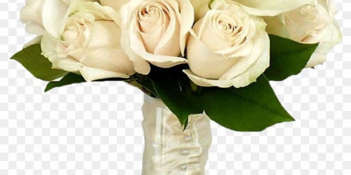840x1167 White Roses Png Hd Wallpaper - Flower Bouquet - Free Transparent PNG