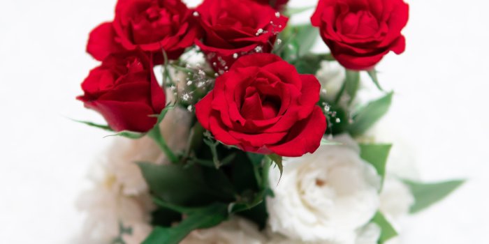 4096x6144 Red And White Rose Flowers In Vase On White Surface - Free Stock