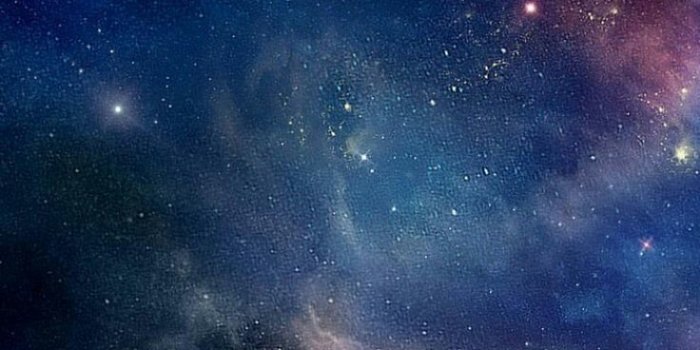 736x1308 Phone Wallpaper HD | The Best of Mobile Phone and Desktop Wallpapers