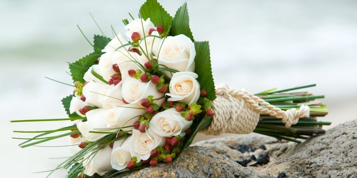 1920x1200 Beautiful Flowers White Roses Wallpaper - Flowers Healthy