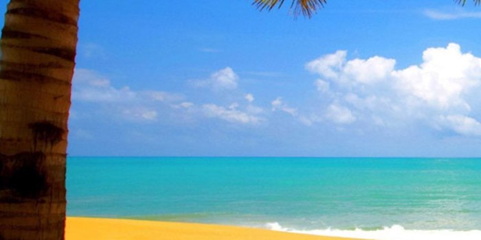 1080x1920 Samsung Galaxy S5 HD Wallpaper (85+ images)