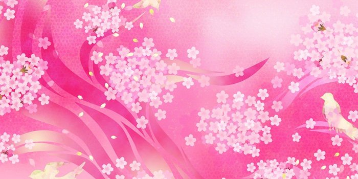 1280x1024 Colorful Flower Wallpaper Designs Wallpapers Background 3d Stars