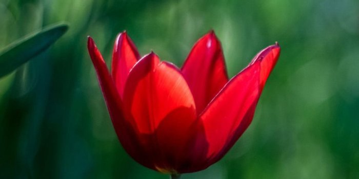 1080x1920 Samsung Wallpaper Hd New - Beautiful Samsung Galaxy S5 Wallpaper Hd