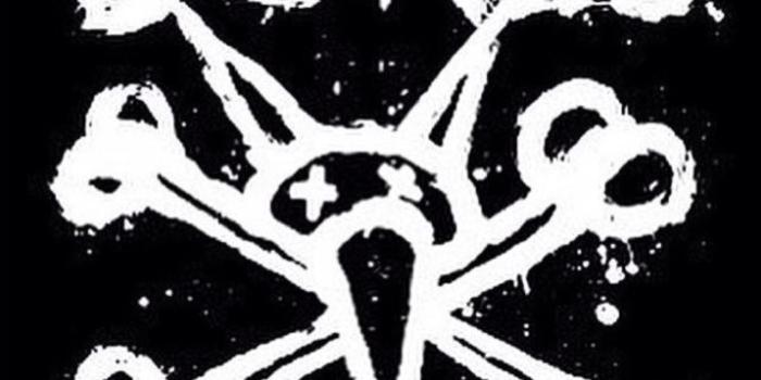 1497x1488 Bones old school | Skateboarding | Skateboard parts, Skateboard