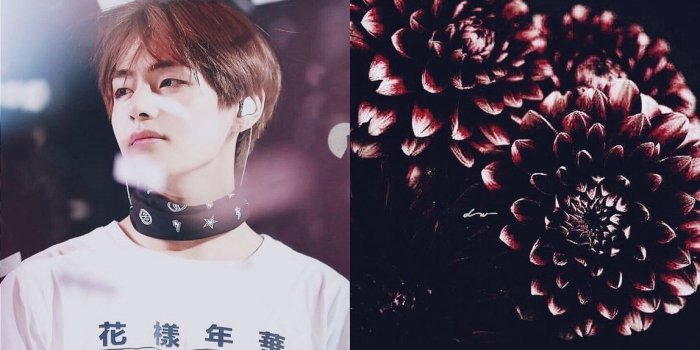 1148x2048 Bts Wings Wallpapers (90+ images)