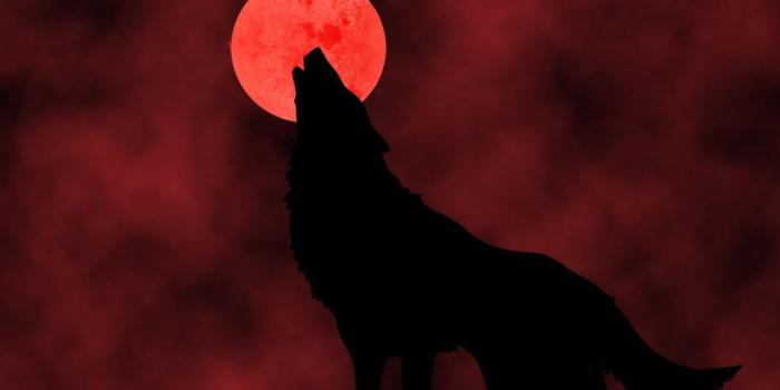 1024x768 wolves+and+blood+moon | Blood Moon Wolf | Thing that I love | Blood