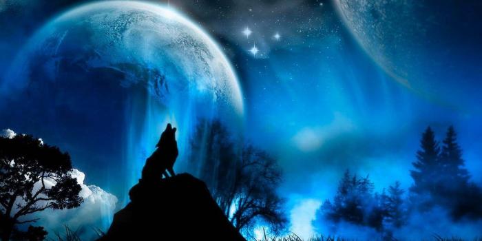 1440x900 Blood Moon Wolf | ir moon in water iphone 5 wallpaper moon in