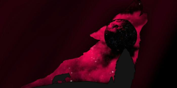 1280x719 Blood Moon Wolf!! | Wolf Art and Wallpaper | Wolf, Art, Blood moon