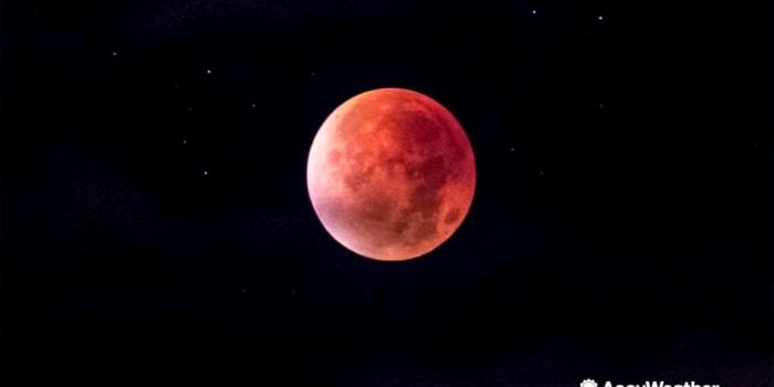 1196x695 Red Moon Wolf Wallpaper | The Great Wallpapers