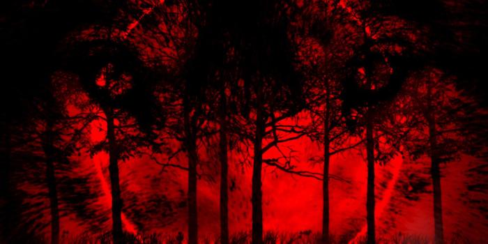 1800x1125 Red Moon Wolf Wallpaper