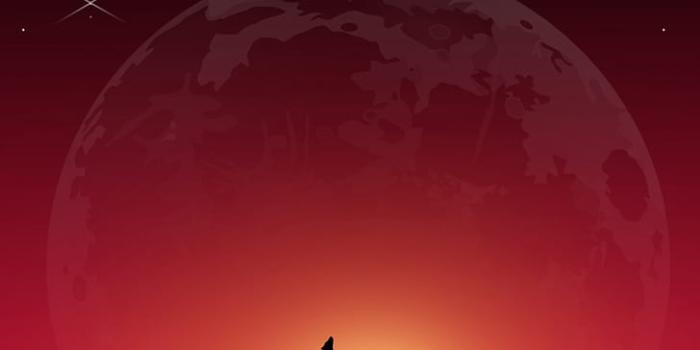 728x1294 HD wallpaper: wolf, howl, loneliness, art, full moon | Wallpaper Flare