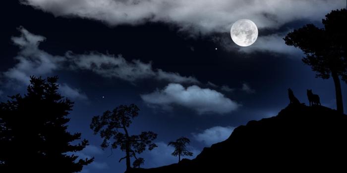 1920x1080 Wolf Howling At The Moon Wallpapers