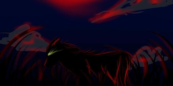 900x950 55+ Shadow Wolf Wallpapers - Download at WallpaperBro