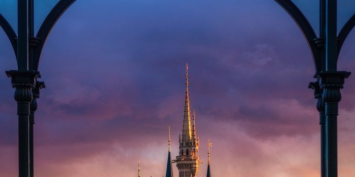 1100x2000 Disney Tourist Blog Wallpaper