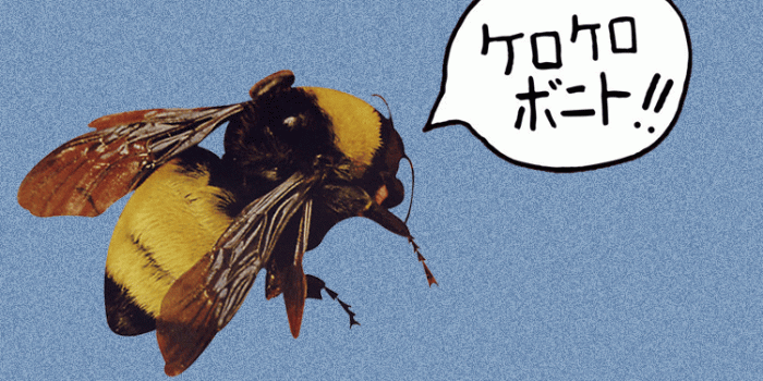 750x1334 Tribute to Tyler, The Creator | W A L L in 2019 | Tyler the creator