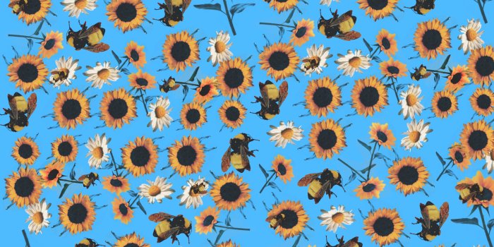 2880x2560 Tyler The Creator Wallpaper Iphone (110+ images in Collection) Page 1