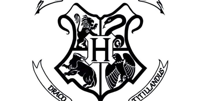 1001x1001 Amazon.com: Fangeplus R DIY Removable Hogwarts Castle Harry Potter