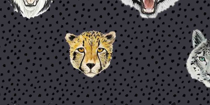 1060x1060 Wildcats Wallpaper Midnight Blue – Wild Hearts Wonder