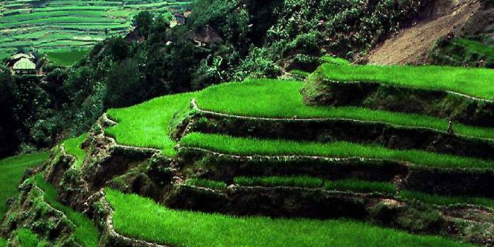 1024x768 wildlife photography | nature and wildlife photography by award