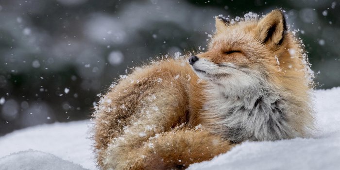 1920x1080 Photography Theme for Windows 10 | 8 | 7