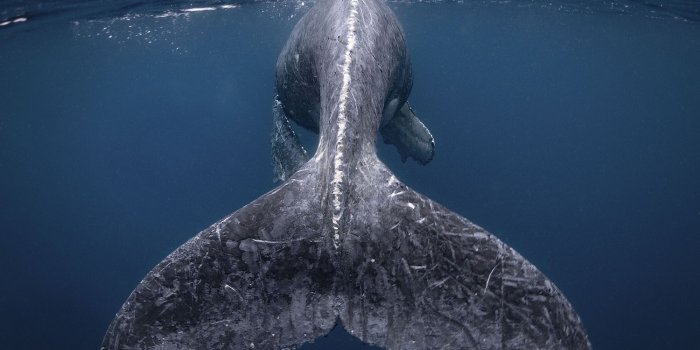 2000x1466 Winners of the 2018 National Geographic Travel Photographer of the