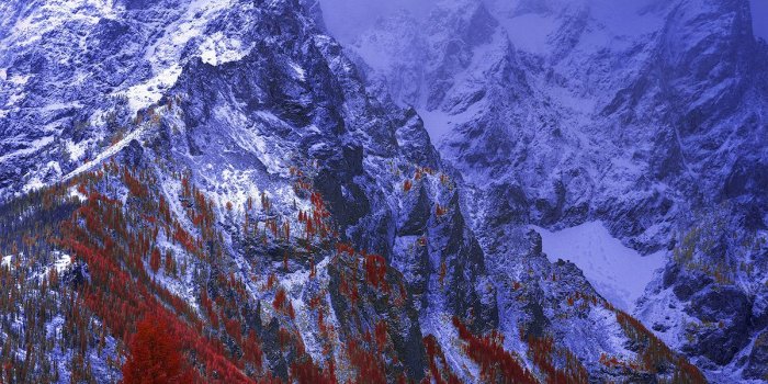 1200x1800 Stunning Winners From the First Annual Infrared Photography Contest