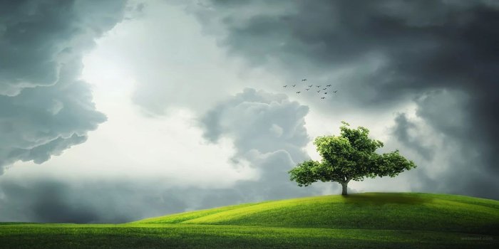 1469x990 50 Beautiful Nature Photography examples from famous photographers