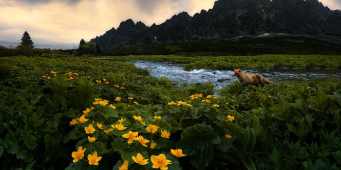 4000x2200 Photo Contest