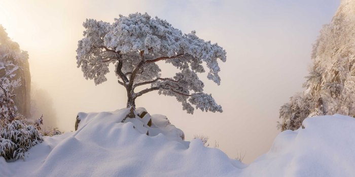 2560x1454 The EPSON International Pano Awards – Panoramic Photography Awards 2019