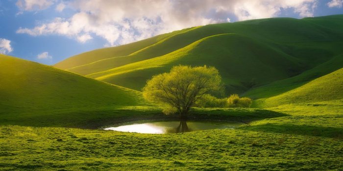 1438x920 50 Beautiful Nature Photography examples from famous photographers