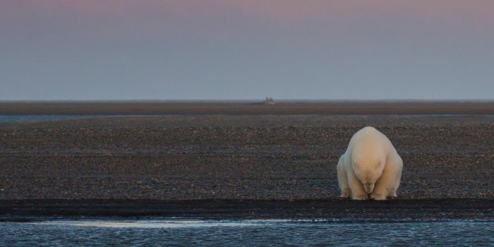 1600x900 2016 National Geographic Nature Photo Contest: An award-winning
