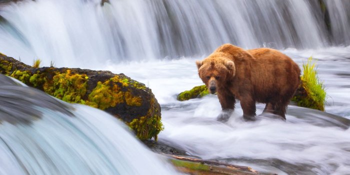 1600x1200 National Geographic Nature Photographer of the Year 2016