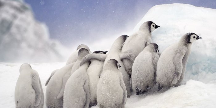 1200x800 2019 Sony World Photography Awards Open and Youth Shortlists