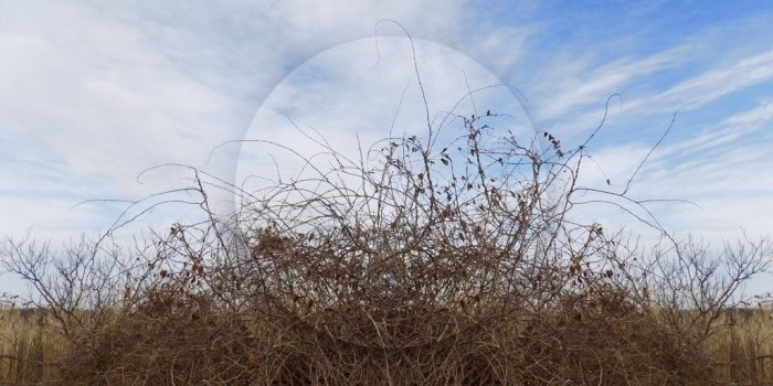 1024x768 L.A. Photo Curator: Global Photography Awards - 'Where Photography