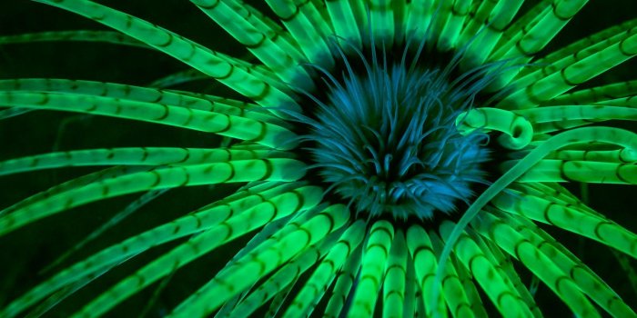 1600x1200 Report Winners Announced! 2017 National Geographic Nature