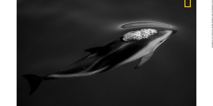 1600x900 National Geographic Travel Photographer of the Year contest