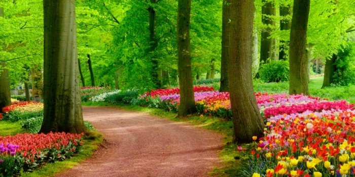 1920x1080 hd wallpapers nature | Epic Car Wallpapers in 2019 | Landscape