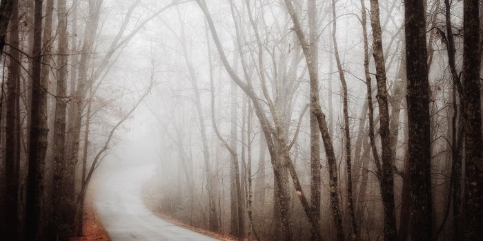 5472x3648 5 Days of Awesome Wallpapers: Nature Photography and Amazing Scenes