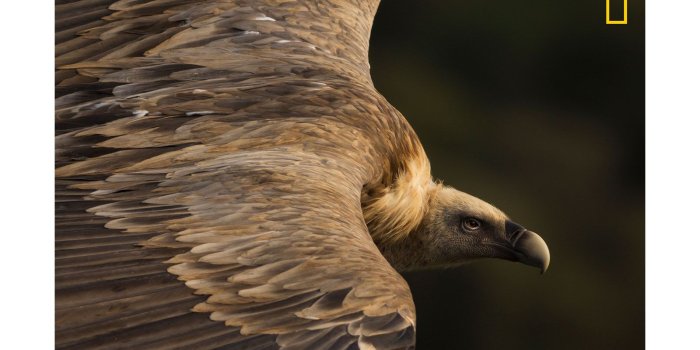 1600x900 National Geographic Travel Photographer of the Year contest