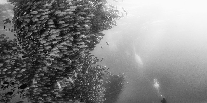 1600x1200 Report Winners Announced! 2017 National Geographic Nature