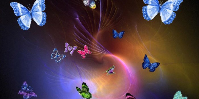 1024x768 Colourful Butterflies | Butterfly | Butterfly wallpaper, Butterfly
