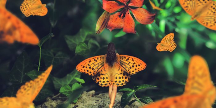 2560x1600 Photo Fairies Butterflies Wings Wonderland journey, Maria 2560x1600