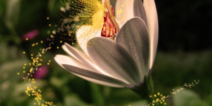 1024x768 Fairies Wallpapers - Android Apps on Google Play