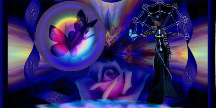 1024x768 Wallpaper Butterflies: Butterfly Flowers Midnight Butterflies