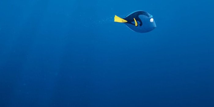 1080x1920 Finding Dory Disney Pixar Anime Art Illustration iPhone 8 Wallpapers