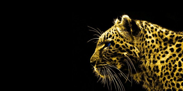 1920x1080 Black And Gold Image – download best photo - digitalimagemakerworld