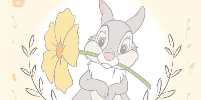 720x1280 Penney's has just launched Disney wallpaper and we're ready for a