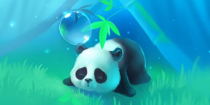 1920x1080 Panda Anime Wallpapers