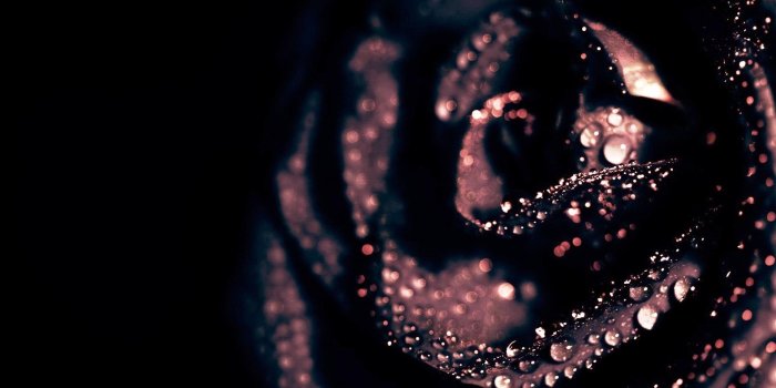 1920x1200 Black And Gold Background Wallpaper Hd - George's Blog